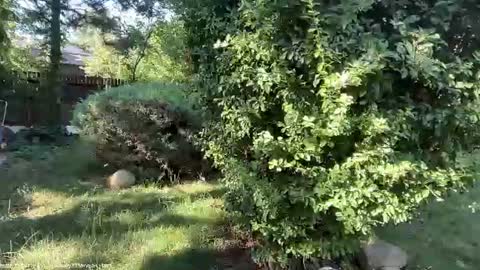 Andreea online show from July 2026 05:43:02 AM