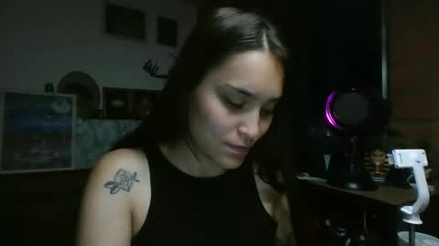 Snapshot of pau_cat chatting on June 2026 07:10:01 AM Pau online show from June 2026 07:10:01 AM