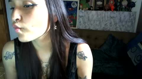 Snapshot of pau_cat chatting on July 2026 09:18:02 PM Pau online show from July 2026 09:18:02 PM