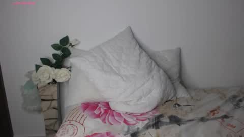 Snapshot of pau_heart chatting on October 2025 01:04:02 AM Paulina online show from October 2025 01:04:02 AM