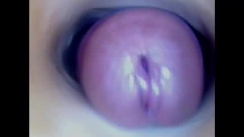 Snapshot of paulainoscente chatting on January 2025 01:51:02 AM Paula 18 Aninhos online show from January 2025 01:51:02 AM