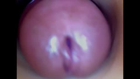 Snapshot of paulainoscente chatting on January 2025 01:45:02 PM Paula 18 Aninhos online show from January 2025 01:45:02 PM