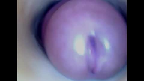 Snapshot of paulainoscente chatting on January 2025 08:35:01 PM Paula 18 Aninhos online show from January 2025 08:35:01 PM