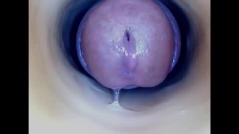 Snapshot of paulainoscente chatting on January 2025 09:15:02 PM Paula 18 Aninhos online show from January 2025 09:15:02 PM