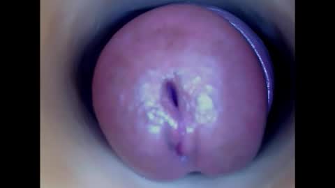 Snapshot of paulainoscente chatting on January 2025 10:35:02 PM Paula 18 Aninhos online show from January 2025 10:35:02 PM