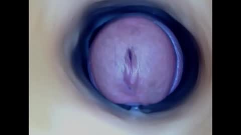 Snapshot of paulainoscente chatting on January 2025 11:50:01 PM Paula 18 Aninhos online show from January 2025 11:50:01 PM