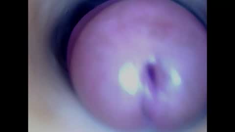 Snapshot of paulainoscente chatting on January 2025 02:51:01 AM Paula 18 Aninhos online show from January 2025 02:51:01 AM