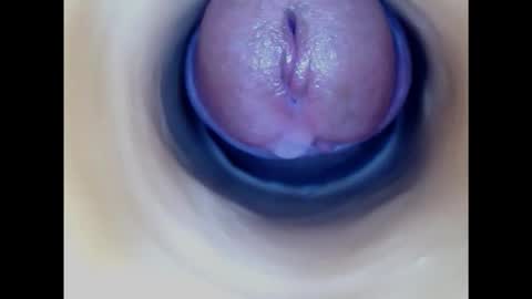 Snapshot of paulainoscente chatting on January 2025 05:56:01 PM Paula 18 Aninhos online show from January 2025 05:56:01 PM