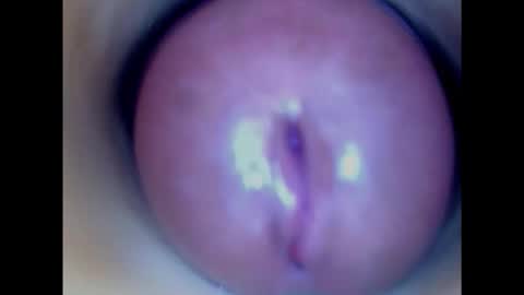 Snapshot of paulainoscente chatting on January 2025 08:56:02 PM Paula 18 Aninhos online show from January 2025 08:56:02 PM