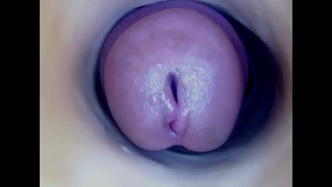 Snapshot of paulainoscente chatting on January 2025 03:11:02 AM Paula 18 Aninhos online show from January 2025 03:11:02 AM