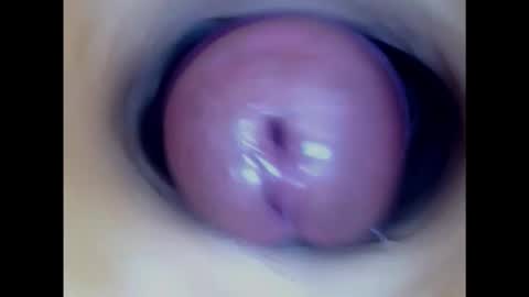 Snapshot of paulainoscente chatting on January 2025 01:43:02 AM Paula 18 Aninhos online show from January 2025 01:43:02 AM