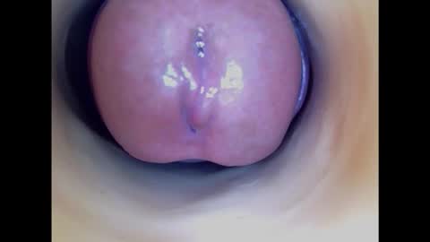 Snapshot of paulainoscente chatting on January 2025 04:47:01 AM Paula 18 Aninhos online show from January 2025 04:47:01 AM