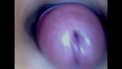 Snapshot of paulainoscente chatting on February 2025 02:34:02 PM Paula 18 Aninhos online show from February 2025 02:34:02 PM