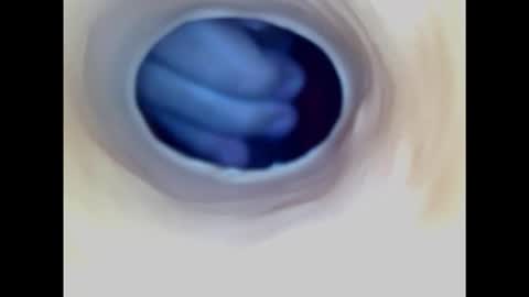 Snapshot of paulainoscente chatting on February 2025 07:44:02 PM Paula 18 Aninhos online show from February 2025 07:44:02 PM