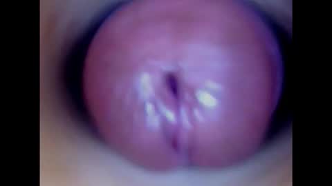 Snapshot of paulainoscente chatting on February 2025 03:54:01 AM Paula 18 Aninhos online show from February 2025 03:54:01 AM