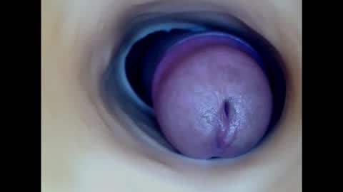 Snapshot of paulainoscente chatting on February 2025 06:58:02 AM Paula 18 Aninhos online show from February 2025 06:58:02 AM