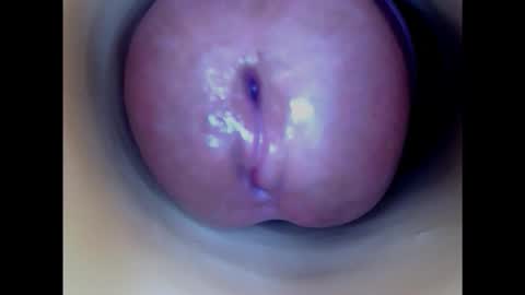 Snapshot of paulainoscente chatting on February 2025 06:34:02 AM Paula 18 Aninhos online show from February 2025 06:34:02 AM