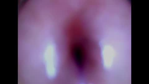 Snapshot of paulainoscente chatting on February 2025 06:07:01 PM Paula 18 Aninhos online show from February 2025 06:07:01 PM