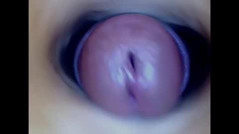 Snapshot of paulainoscente chatting on February 2025 05:52:01 AM Paula 18 Aninhos online show from February 2025 05:52:01 AM