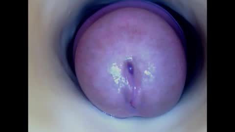 Snapshot of paulainoscente chatting on February 2025 06:08:01 AM Paula 18 Aninhos online show from February 2025 06:08:01 AM