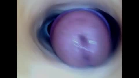 Snapshot of paulainoscente chatting on February 2025 04:03:01 PM Paula 18 Aninhos online show from February 2025 04:03:01 PM