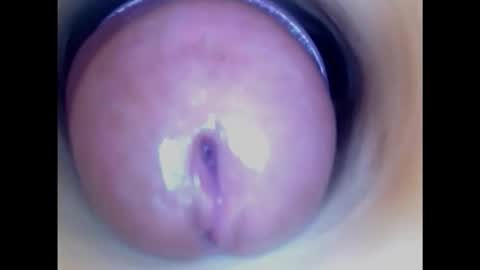 Snapshot of paulainoscente chatting on February 2025 06:22:02 AM Paula 18 Aninhos online show from February 2025 06:22:02 AM