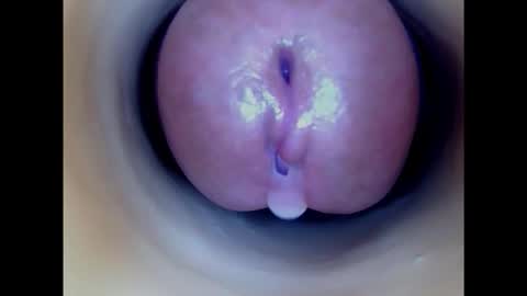 Snapshot of paulainoscente chatting on February 2025 11:13:02 PM Paula 18 Aninhos online show from February 2025 11:13:02 PM