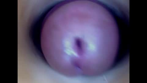 Snapshot of paulainoscente chatting on February 2025 11:01:02 PM Paula 18 Aninhos online show from February 2025 11:01:02 PM