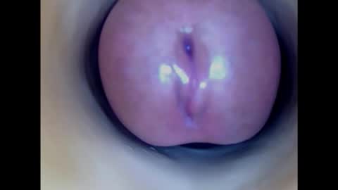 Snapshot of paulainoscente chatting on February 2025 05:15:02 AM Paula 18 Aninhos online show from February 2025 05:15:02 AM