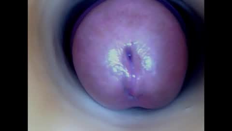 Snapshot of paulainoscente chatting on February 2025 04:52:01 PM Paula 18 Aninhos online show from February 2025 04:52:01 PM