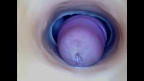 Snapshot of paulainoscente chatting on February 2025 03:38:01 PM Paula 18 Aninhos online show from February 2025 03:38:01 PM