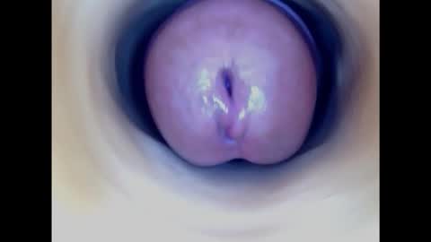 Snapshot of paulainoscente chatting on February 2025 09:48:02 PM Paula 18 Aninhos online show from February 2025 09:48:02 PM