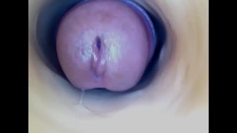 Snapshot of paulainoscente chatting on February 2025 05:05:02 AM Paula 18 Aninhos online show from February 2025 05:05:02 AM