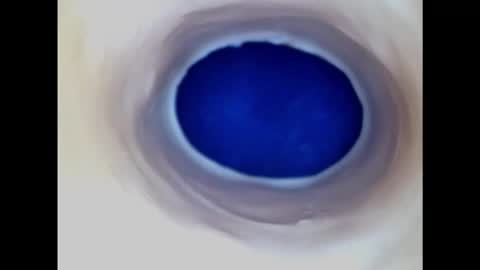 Snapshot of paulainoscente chatting on February 2025 03:01:02 AM Paula 18 Aninhos online show from February 2025 03:01:02 AM