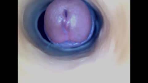 Snapshot of paulainoscente chatting on February 2025 04:36:02 PM Paula 18 Aninhos online show from February 2025 04:36:02 PM