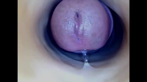 Snapshot of paulainoscente chatting on February 2025 04:48:02 PM Paula 18 Aninhos online show from February 2025 04:48:02 PM