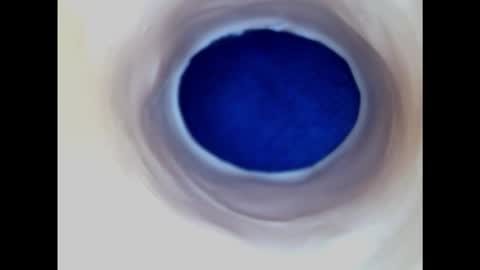 Snapshot of paulainoscente chatting on February 2025 03:23:02 AM Paula 18 Aninhos online show from February 2025 03:23:02 AM