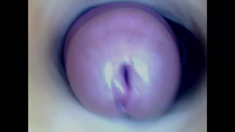 Snapshot of paulainoscente chatting on February 2025 02:51:02 AM Paula 18 Aninhos online show from February 2025 02:51:02 AM