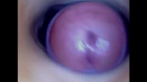 Snapshot of paulainoscente chatting on February 2025 01:24:01 AM Paula 18 Aninhos online show from February 2025 01:24:01 AM