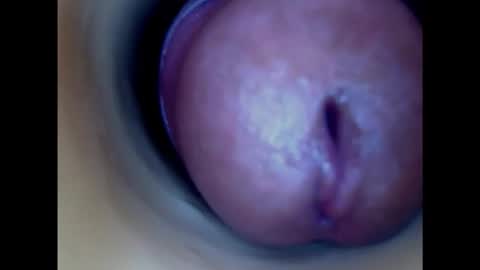 Snapshot of paulainoscente chatting on February 2025 04:27:02 AM Paula 18 Aninhos online show from February 2025 04:27:02 AM