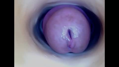 Snapshot of paulainoscente chatting on March 2025 07:12:02 PM Paula 18 Aninhos online show from March 2025 07:12:02 PM