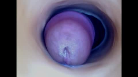 Snapshot of paulainoscente chatting on March 2025 06:08:02 PM Paula 18 Aninhos online show from March 2025 06:08:02 PM