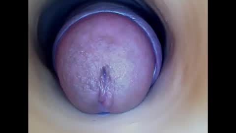 Snapshot of paulainoscente chatting on October 2025 01:37:02 AM Paula 18 Aninhos online show from October 2025 01:37:02 AM