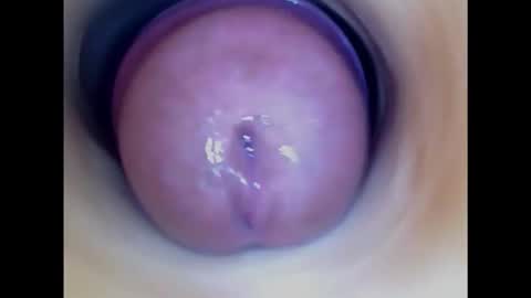 Snapshot of paulainoscente chatting on October 2025 06:20:01 PM Paula 18 Aninhos online show from October 2025 06:20:01 PM