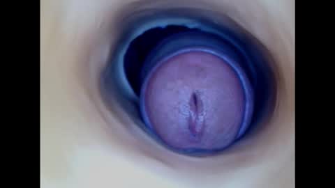 Snapshot of paulainoscente chatting on October 2025 05:52:02 AM Paula 18 Aninhos online show from October 2025 05:52:02 AM