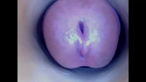 Snapshot of paulainoscente chatting on October 2025 06:19:02 PM Paula 18 Aninhos online show from October 2025 06:19:02 PM