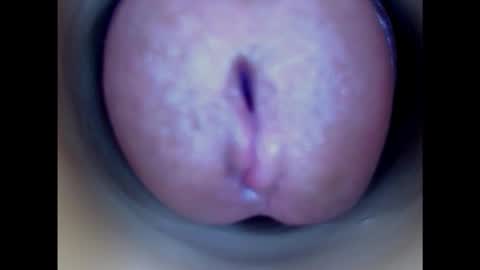 Snapshot of paulainoscente chatting on October 2025 04:24:02 PM Paula 18 Aninhos online show from October 2025 04:24:02 PM