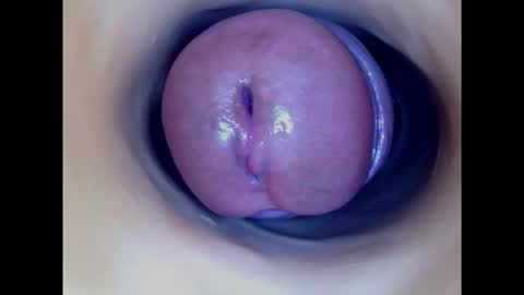 Snapshot of paulainoscente chatting on October 2025 03:32:01 AM Paula 18 Aninhos online show from October 2025 03:32:01 AM