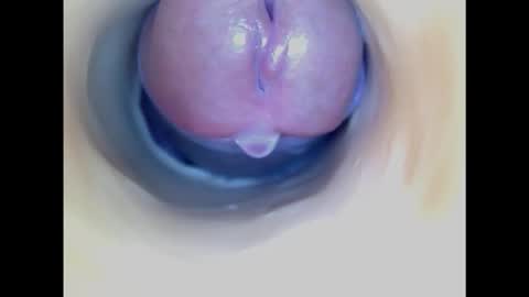 Snapshot of paulainoscente chatting on October 2025 05:26:02 PM Paula 18 Aninhos online show from October 2025 05:26:02 PM