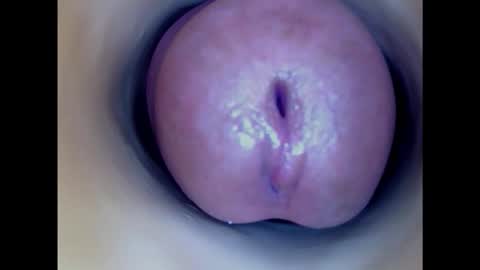 Snapshot of paulainoscente chatting on October 2025 10:22:02 PM Paula 18 Aninhos online show from October 2025 10:22:02 PM